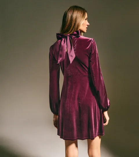 Dark Burgundy Velvet Long Sleeve Mini Dress