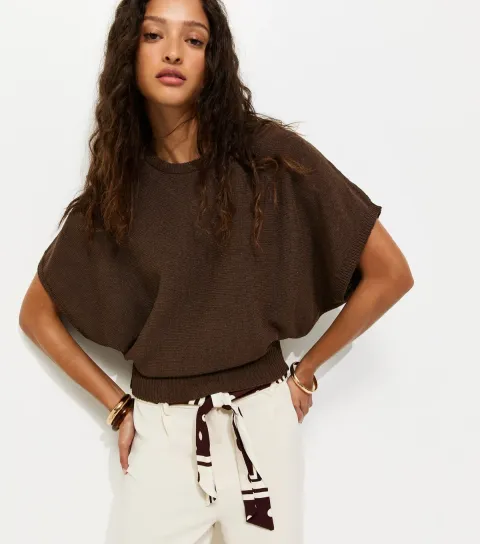 Brown Batwing Sleeve Short Sleeve Jumper