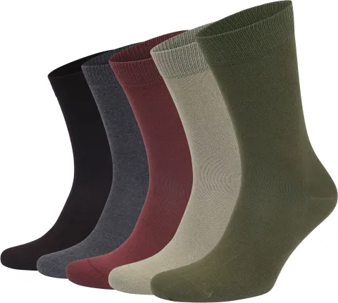 Bjorn Borg 5-Pack Essential Socks Multicolour size 36-40