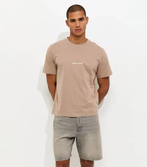 Grey Cotton Regular Fit Denim Shorts